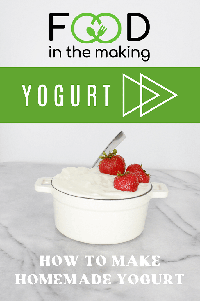 How to Make Yogurt-3