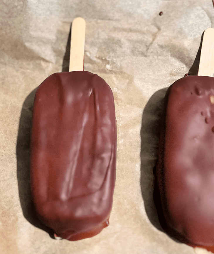 Frozen Yogurt bars dipped in chocolate