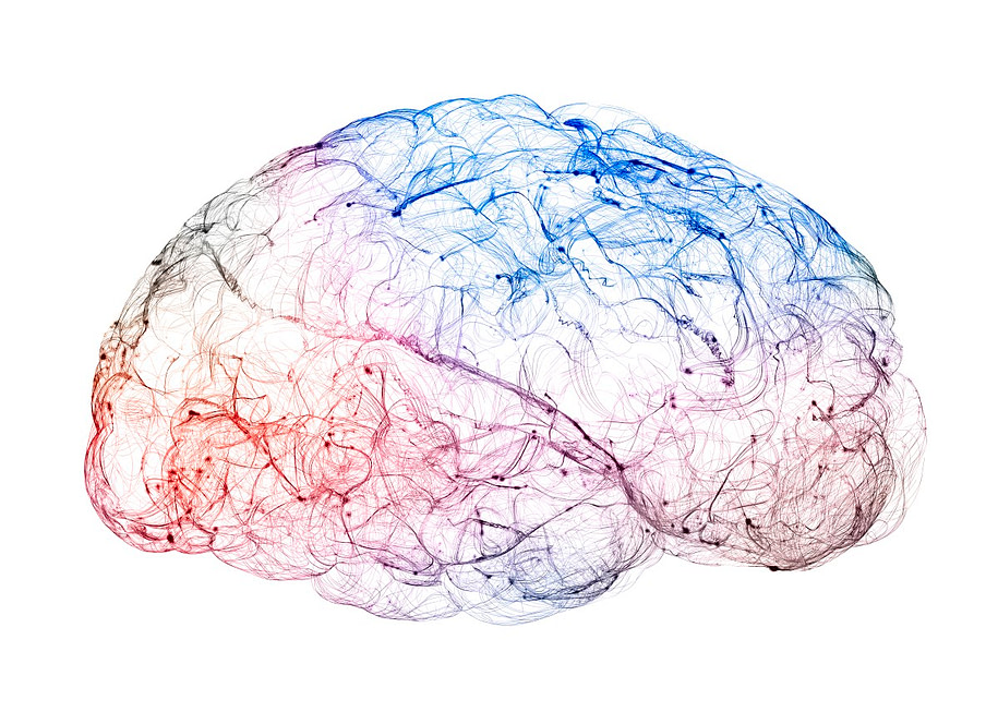 Keto Diet. Brain benefits.